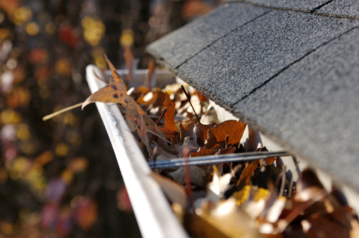 Gutter full with leafs